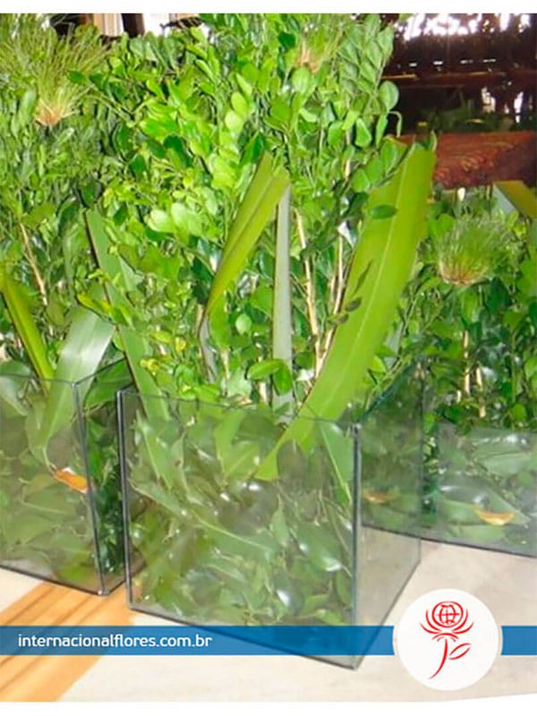DECORAÇÃO ARRANJOS PLANTAS