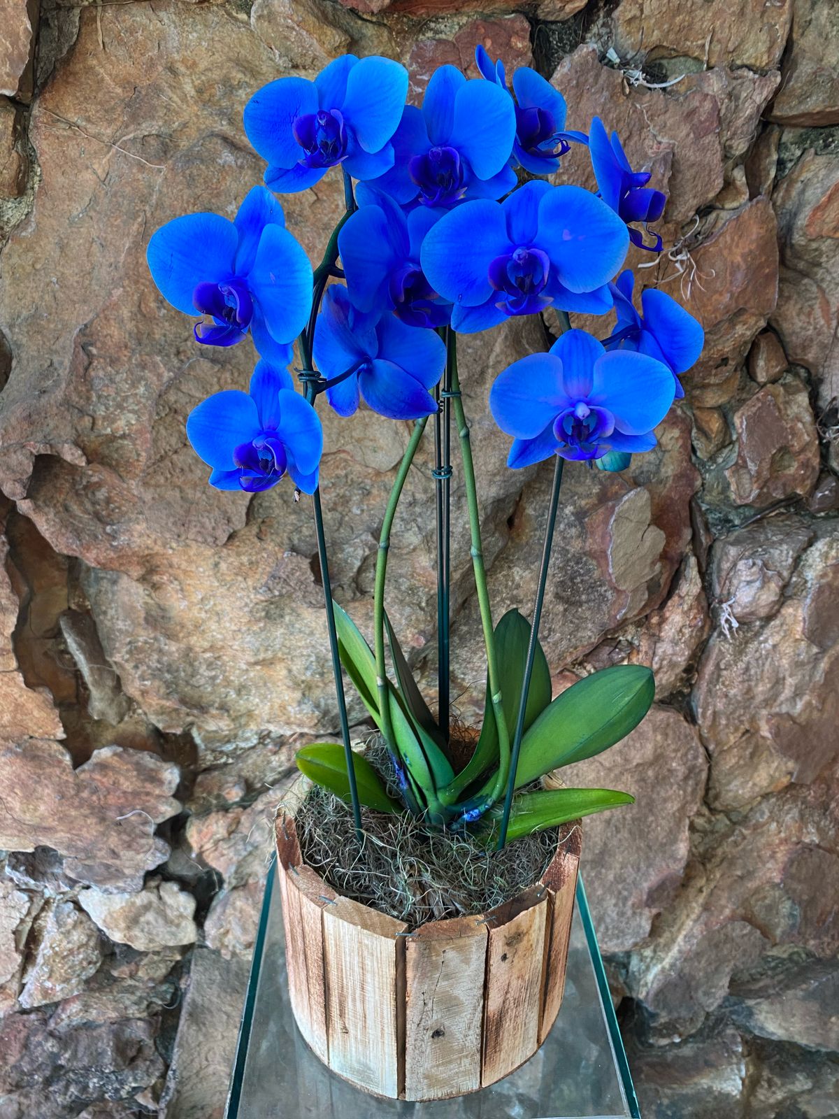 WhatsApp Image 2025-07-25 at 15.38.50