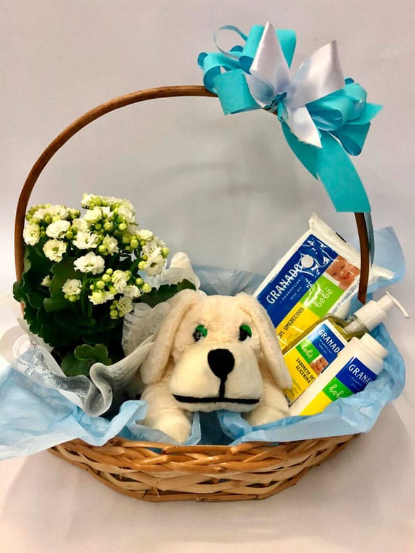 CESTA MATERNIDADE AZUL