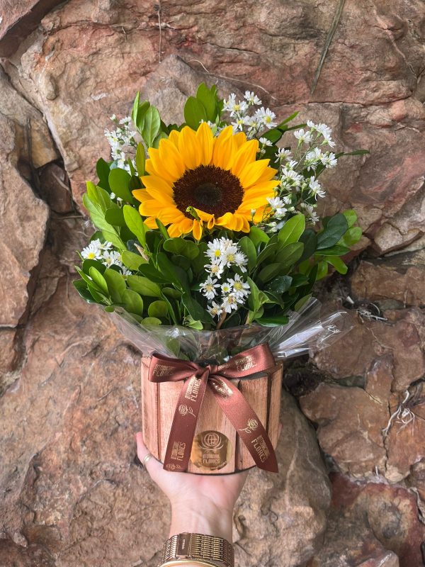 Arranjo no Cachepô com 1 Girassol