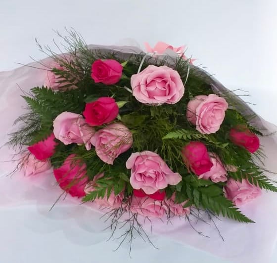 bq 12 rosas rosa3