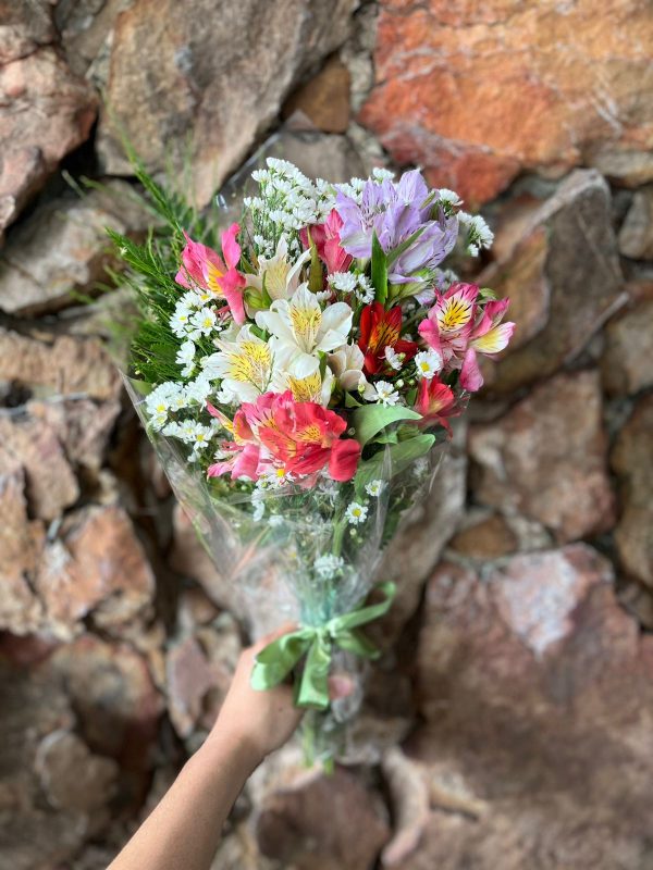 BUQUEZINHO ASTROMÉLIAS