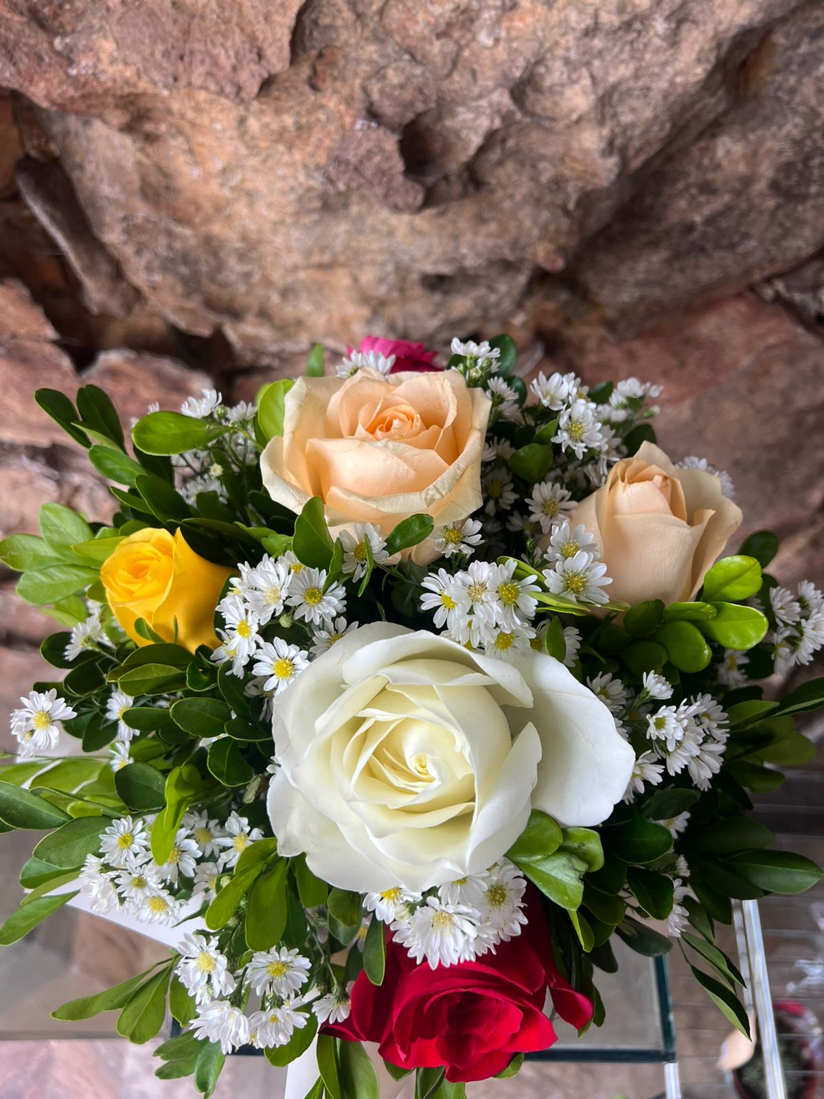 WhatsApp Image 2025-10-29 at 14.48.25 (1)