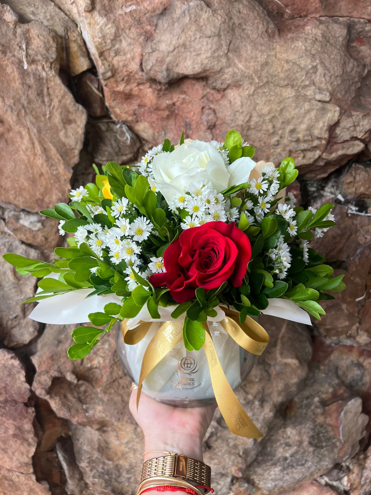 WhatsApp Image 2025-10-29 at 14.48.25 (2)