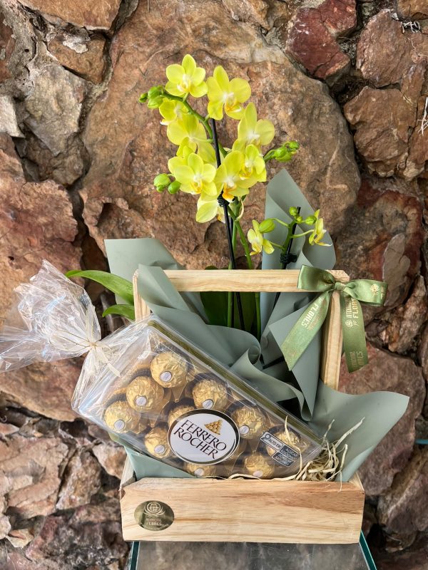 Cesta Mini Orquídea e Chocolate
