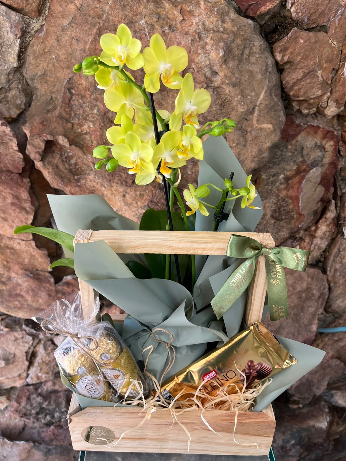 Cesta Mini Orquídea e Dupla de Chocolate 2