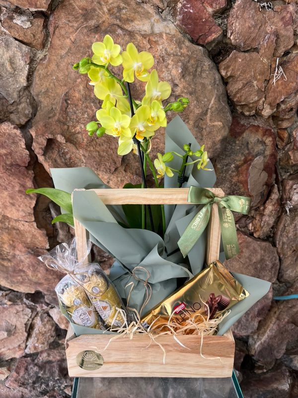 Cesta Mini Orquídea e Dupla de Chocolate