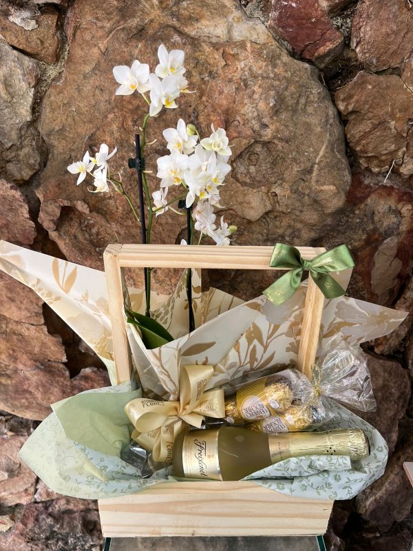 Cesta Mini Orquídea Mini Freixenet e Chocolate