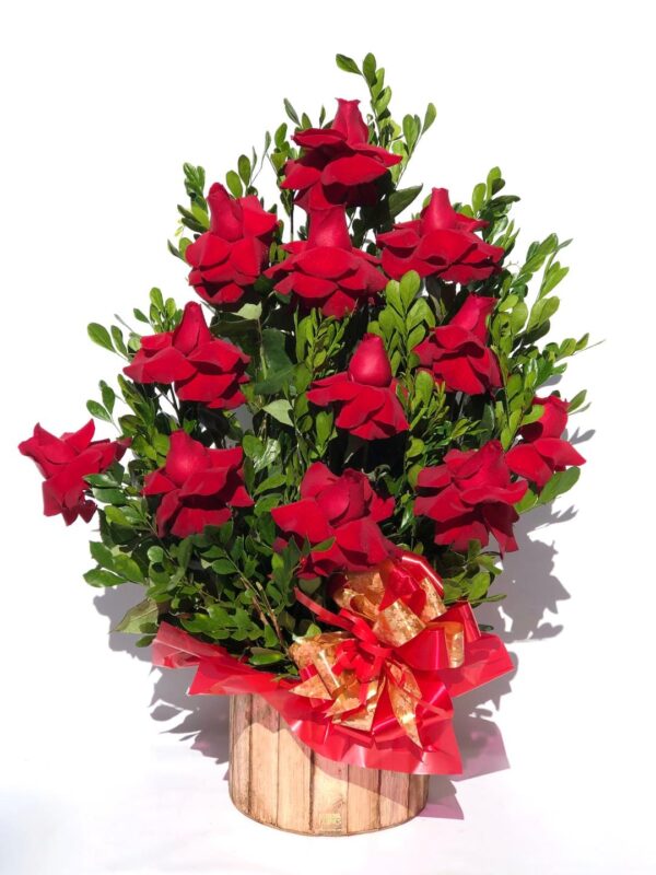 Arranjo 12 Colombianas de uma Frente