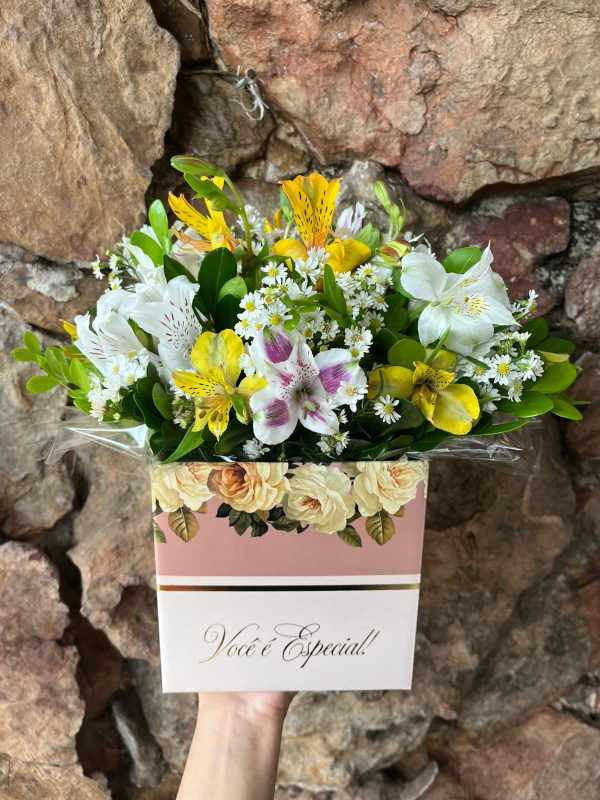 Arranjo Box Astromélias  “Você é especial”