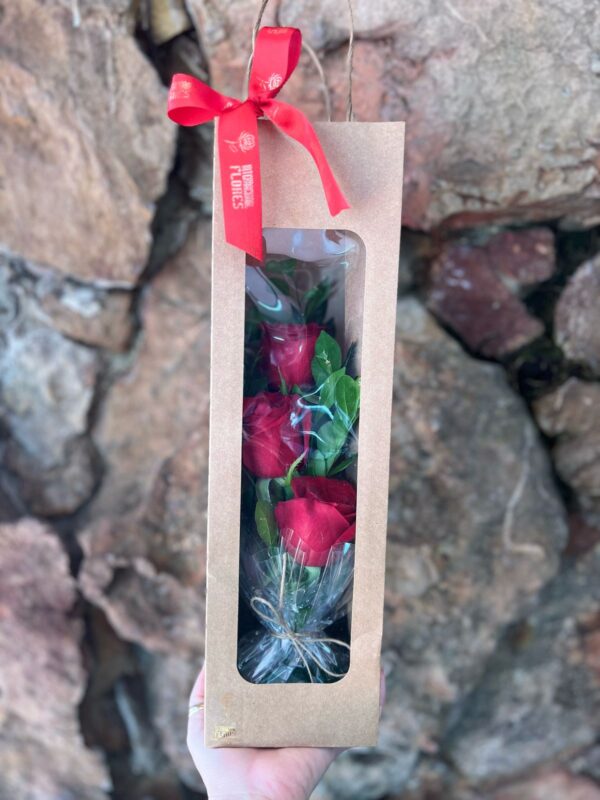 Arranjo Sacola 3 Rosas Vermelhas Nacional