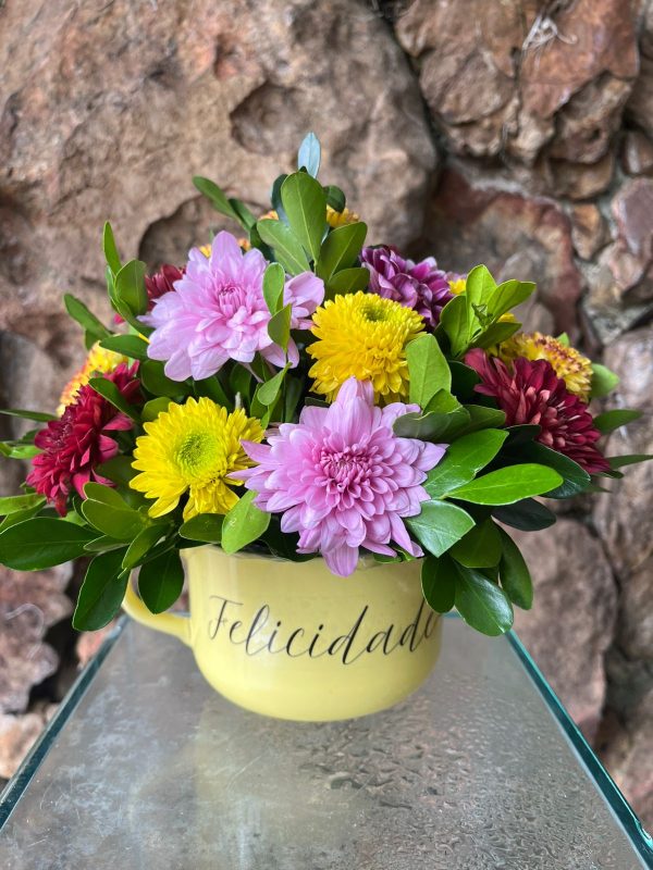 Arranjo Caneca Jumbo Flores do Campo “Felicidade”