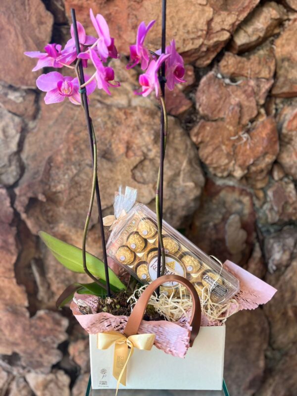 Box sacola Marfim Orquídea 2 hastes e Chocolate