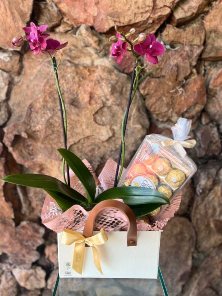 Box sacola Marfim Orquídea 2 haste e Chocolate
