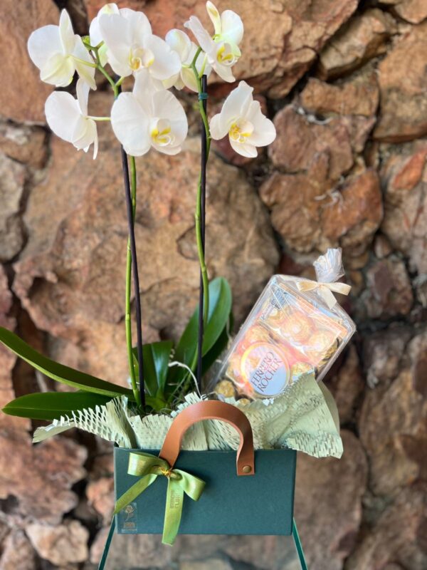 Box sacola Verde Orquídea 2 hastes e Chocolate