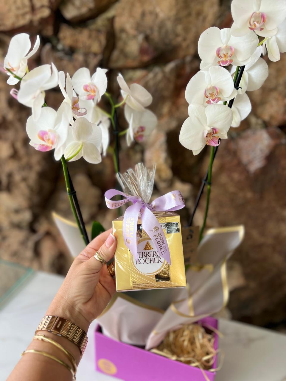 Orquídea Phaleanopsis na Box com Chocolate T4 3