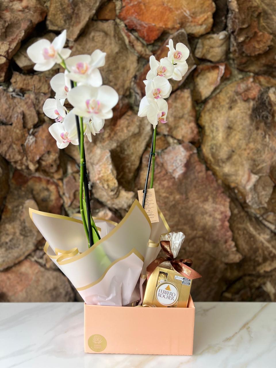 Orquídea Phaleanopsis na Box com Chocolate T4 4