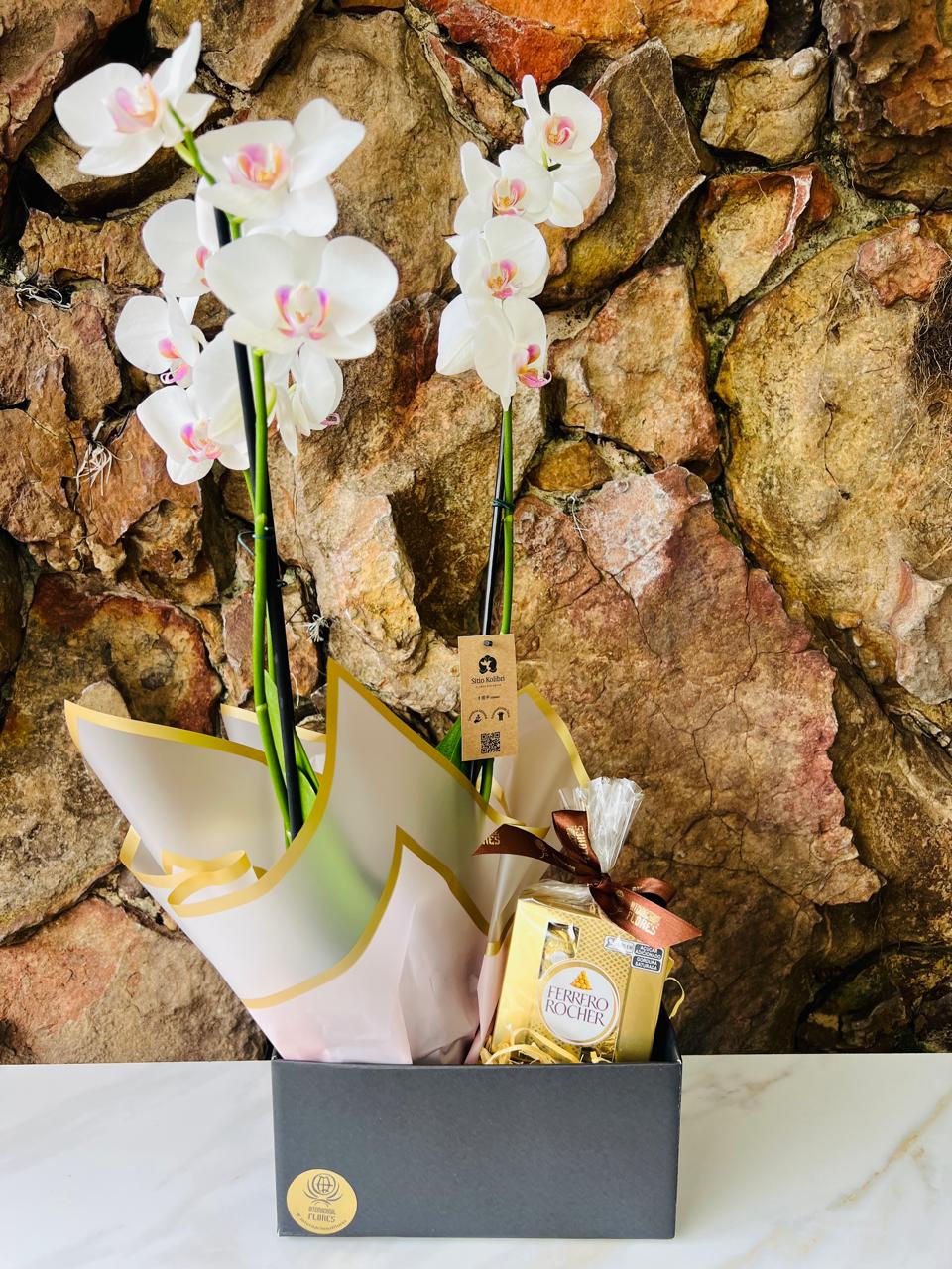 Orquídea Phaleanopsis na Box com Chocolate T4 5