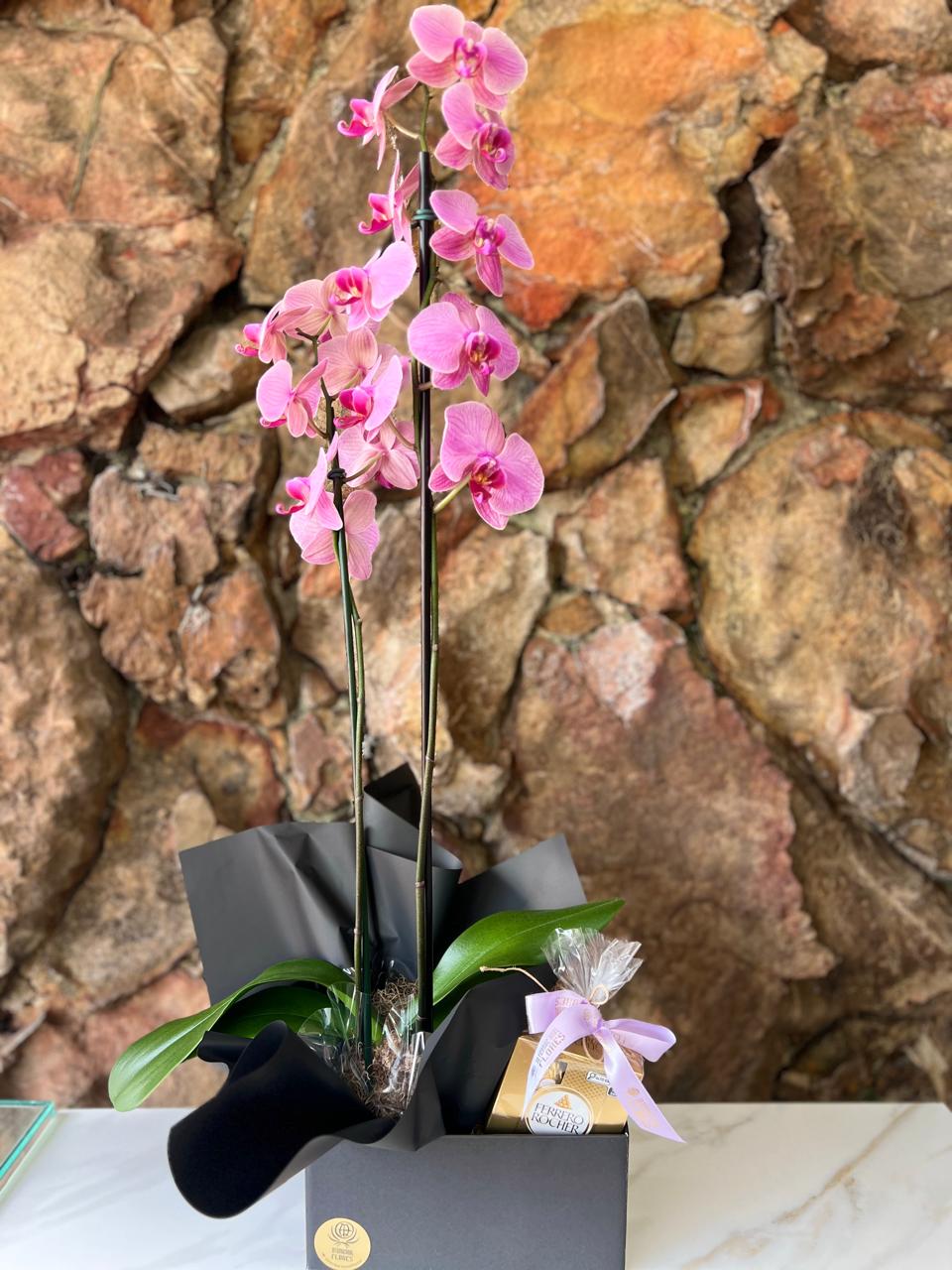 Orquídea Phaleanopsis na Box com Chocolate T4 8